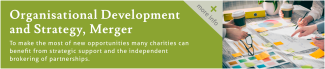 Organisational development and Strategy Merger